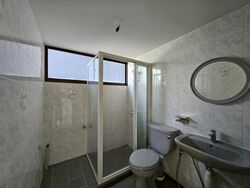 Dunearn Road (D11), Condominium #527355971